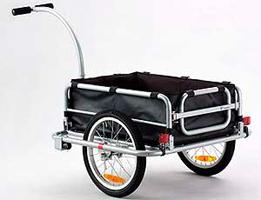 てい君‘Taken’の画像