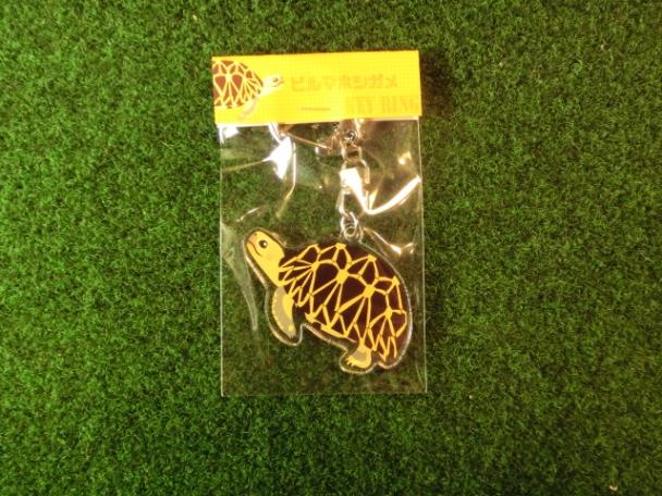 リクガメイラスト アクリルキーリング　ビルマホシガメ　（DM便対応可）の画像