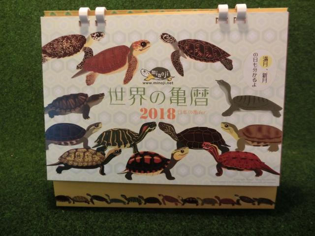 世界の亀暦　日本の亀バージョン　卓上型2018 (ＤＭ便対応 ）の画像