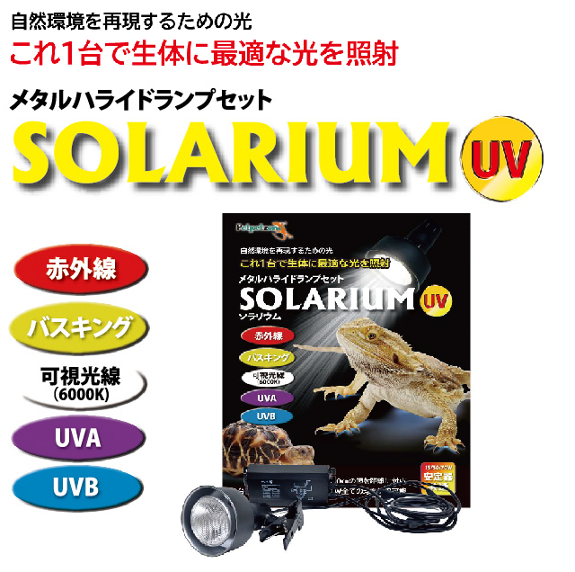 SOLARIUM ソラリウム50Ｗセット