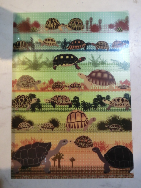 リクガクリアファイル Ａ4サイズ(ネコポス便対応可）の画像