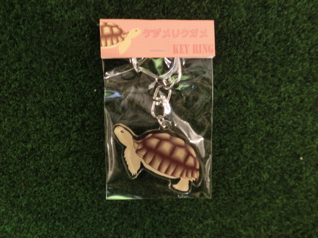 リクガメイラスト アクリルキーリング　ケヅメリクガメ横（メール便対応）の画像