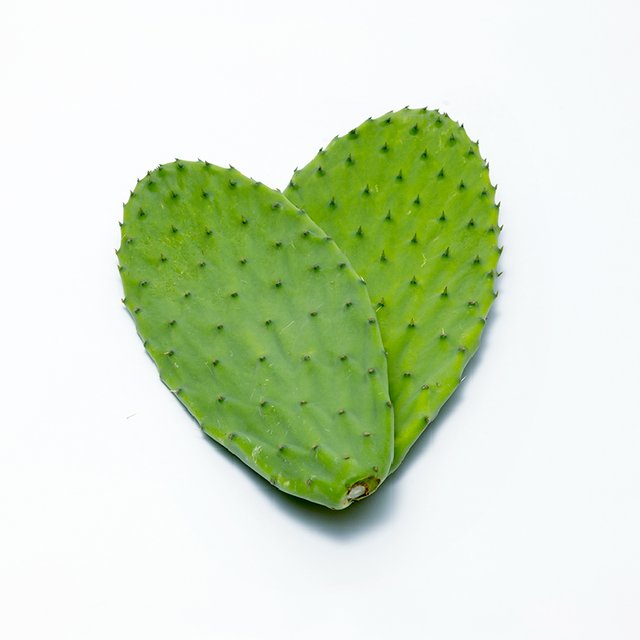 食べるサボテンかめはめ葉　約450ｇの画像