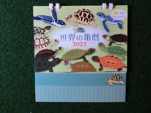 世界の亀暦22 こがめver 卓上型 ネコポス対応可