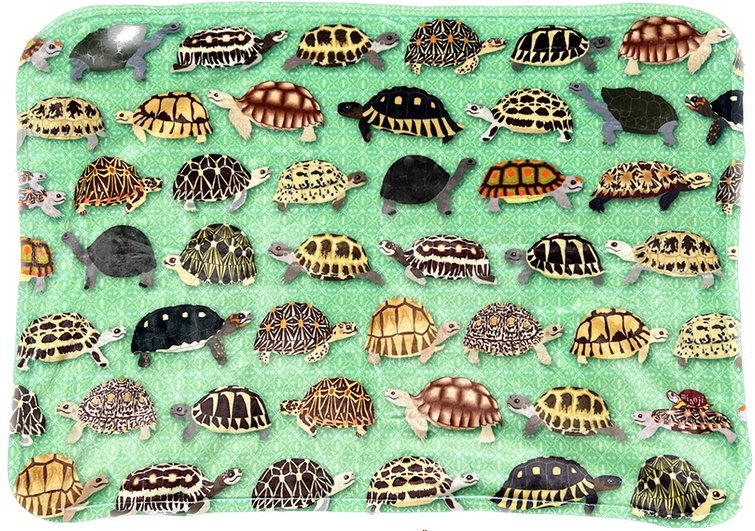  リクガメづくしひざかけの画像