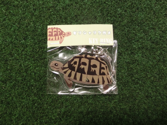 リクガメイラスト アクリルキーリング　ギリシャリクガメ（ネコポス便対応可）の画像