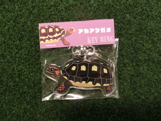 リクガメイラスト アクリルキーリング　アカアシガメ（ネコポス便対応可）の画像