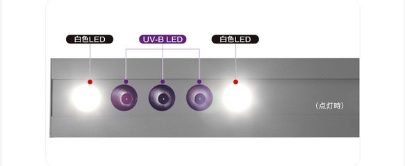 爬虫類用UV-B LEDライト MH-10S（お取り寄せ品）画像
