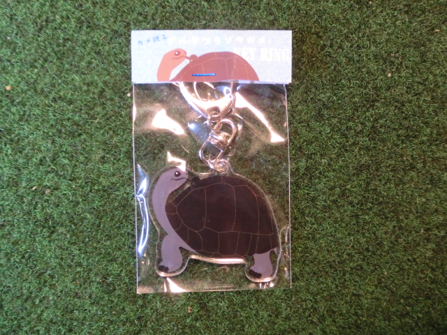 リクガメイラスト アクリルキーリング　アルダブラゾウガメ　NewVer.の画像