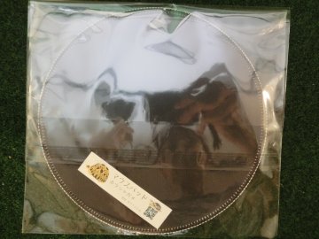 ホウシャガメマウスパッドの画像