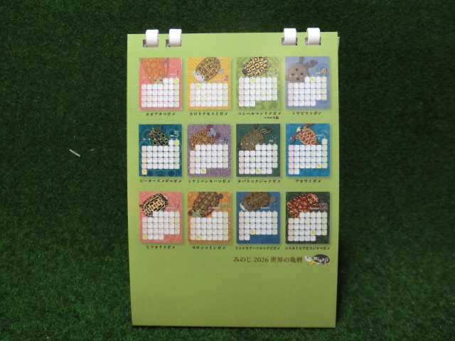 世界の亀暦2026 卓上カレンダーの画像