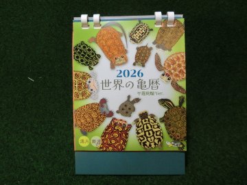 世界の亀暦2026 卓上カレンダーの画像