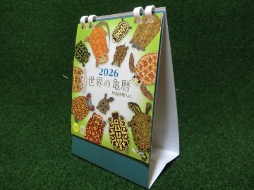 世界の亀暦2026 卓上カレンダーの画像