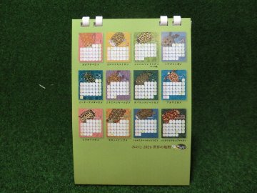 世界の亀暦2026 卓上カレンダーの画像