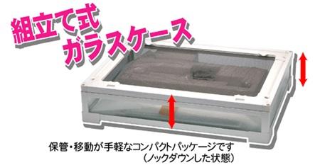 パンテオン ブラック BK4535(限定1台)　の画像