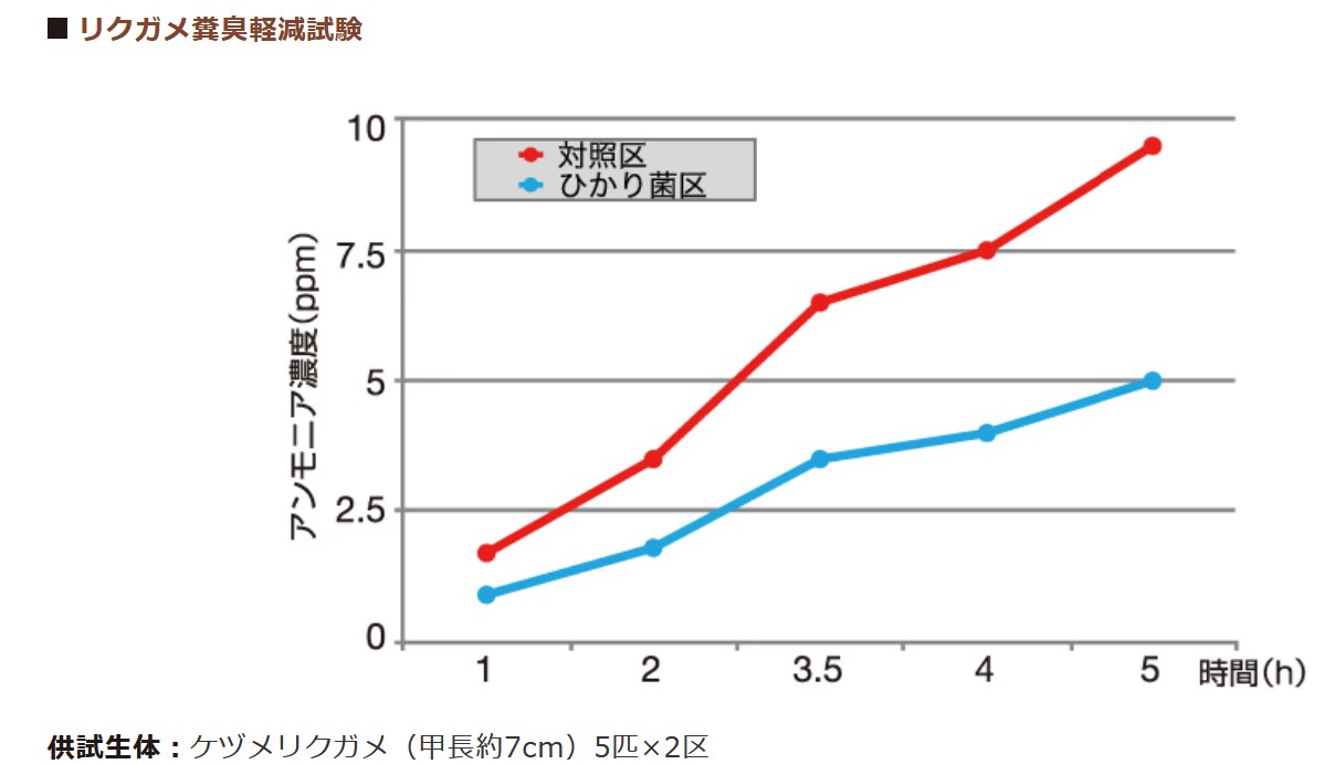 キンザイム（ネコポス対応可）の画像