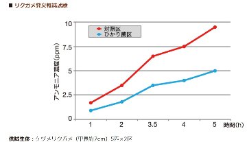 キンザイム（ネコポス対応可）の画像