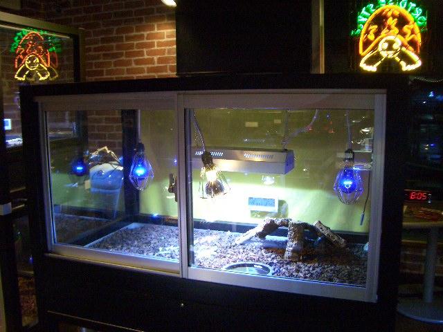 オリジナルケージの画像