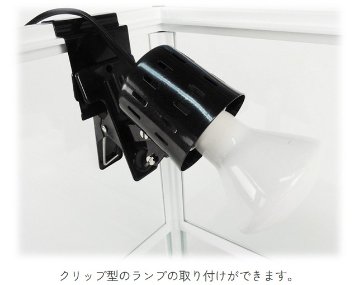 パンテオン ホワイト WH6045の画像