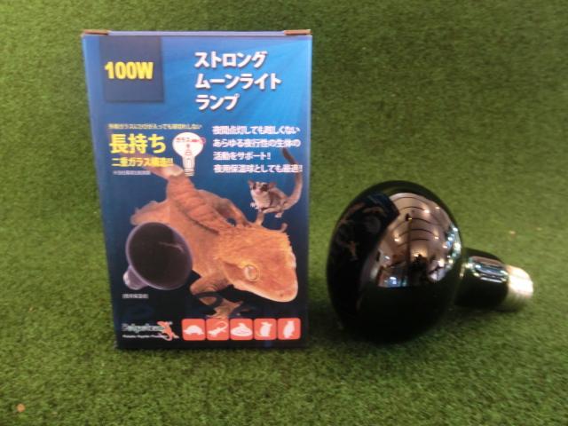 ストロング ムーンライトランプ100Ｗの画像