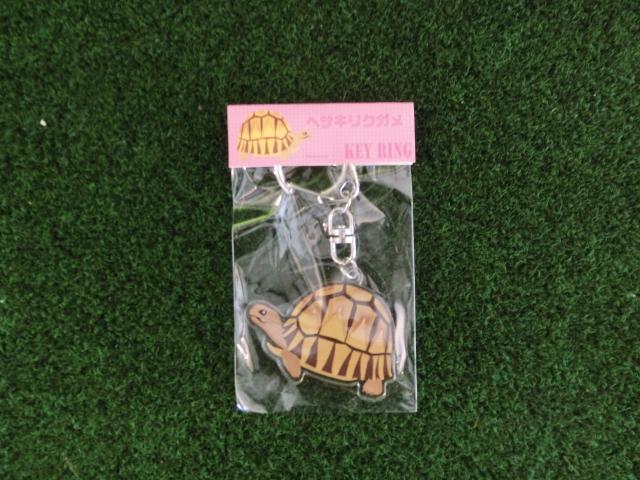 リクガメイラスト アクリルキーリング　ヘサキリクガメ　（メール便対応可）の画像