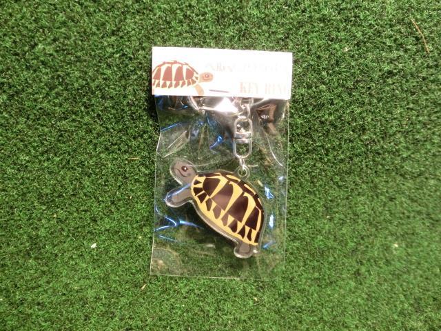 リクガメイラスト アクリルキーリング　ヘルマンリクガメ　（メール便対応可）の画像