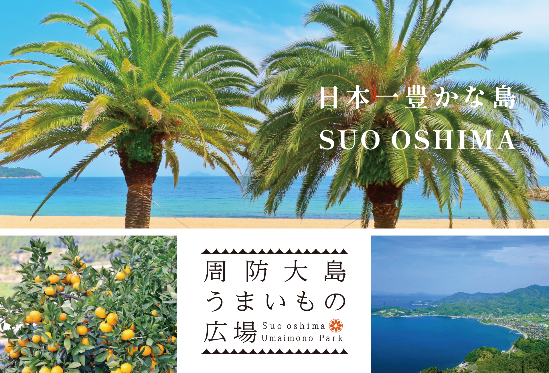 瀬戸内のハワイ お取り寄せグルメ 周防大島 うまいもの広場