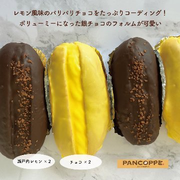 銀チョコ【瀬戸内レモン×2 チョコレート×２】の画像
