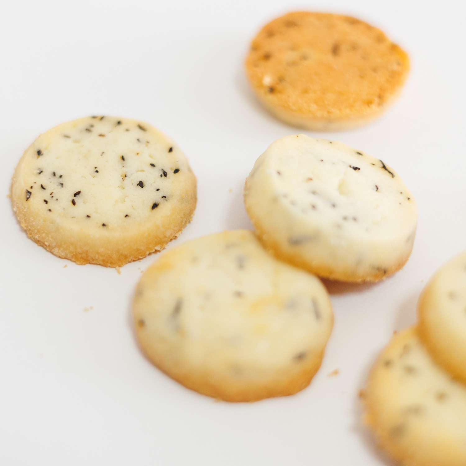 ティッキー　ヒジッキー（ひじきクッキー）周防大島TIKKI-COOKIEの画像