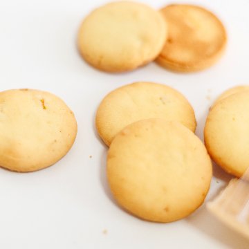 ティッキー　ミッキー（柑橘クッキー）の画像