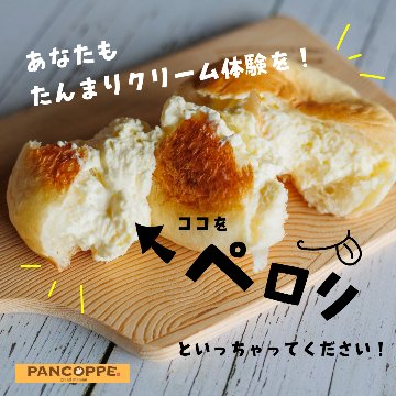 【送料無料】パンコッペ６種詰合せ＆18の魔法FIREセット（ pancoppe人気６種類 ＆ブレンドティー3g×30袋 ）お茶会セットの画像