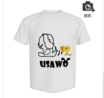 USAWO&たらドリTシャツの画像