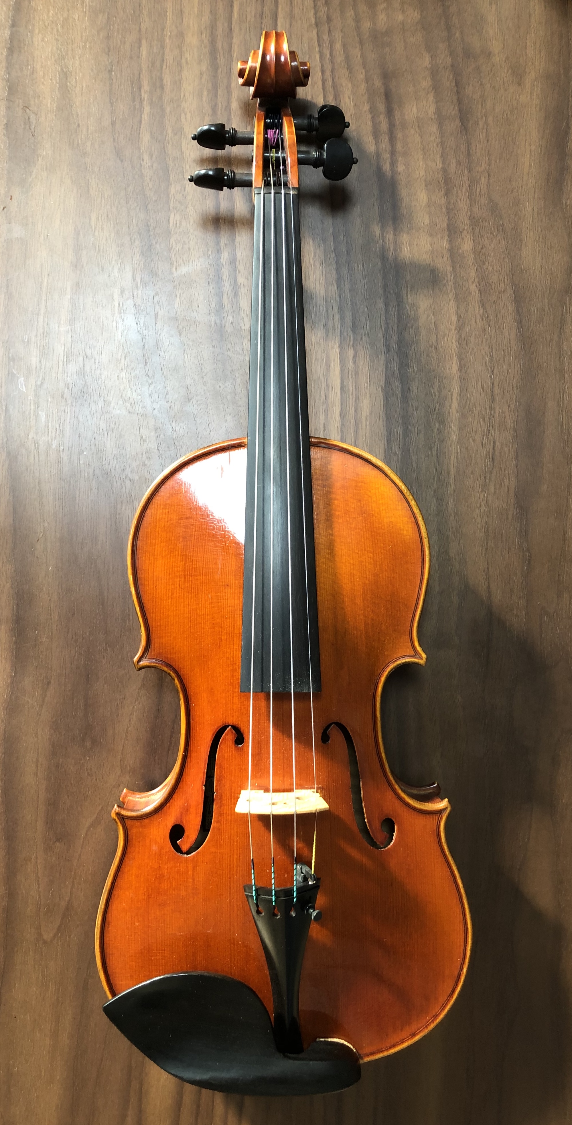 イタリア マントヴァ1982年マリオガッダ バイオリン｜Queen's Violin