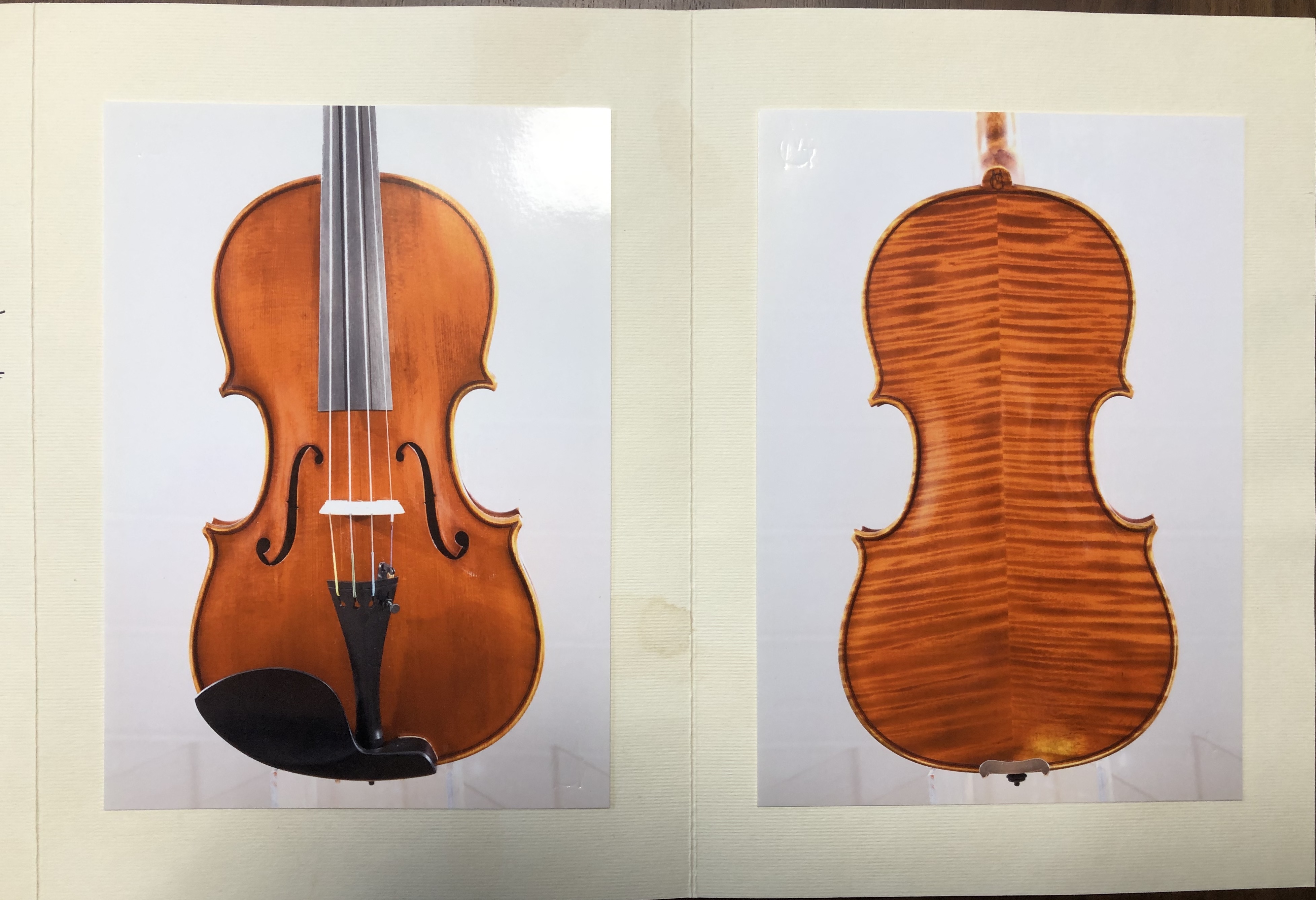 イタリア マントヴァ1982年マリオガッダ バイオリン画像