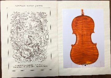 イタリア マントヴァ1982年マリオガッダ バイオリン画像