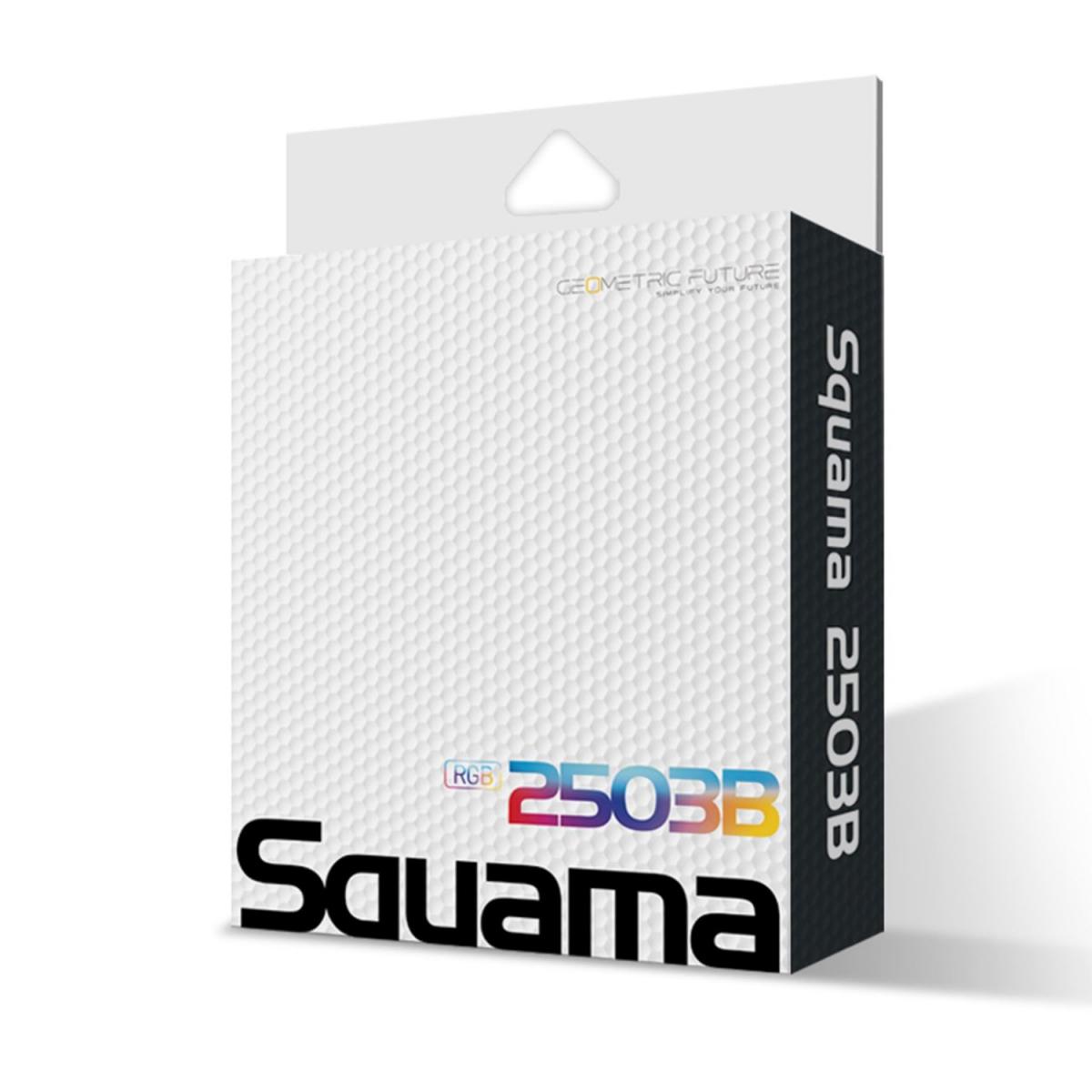 Geometric Future SQUAMA 2503B Single Packの画像