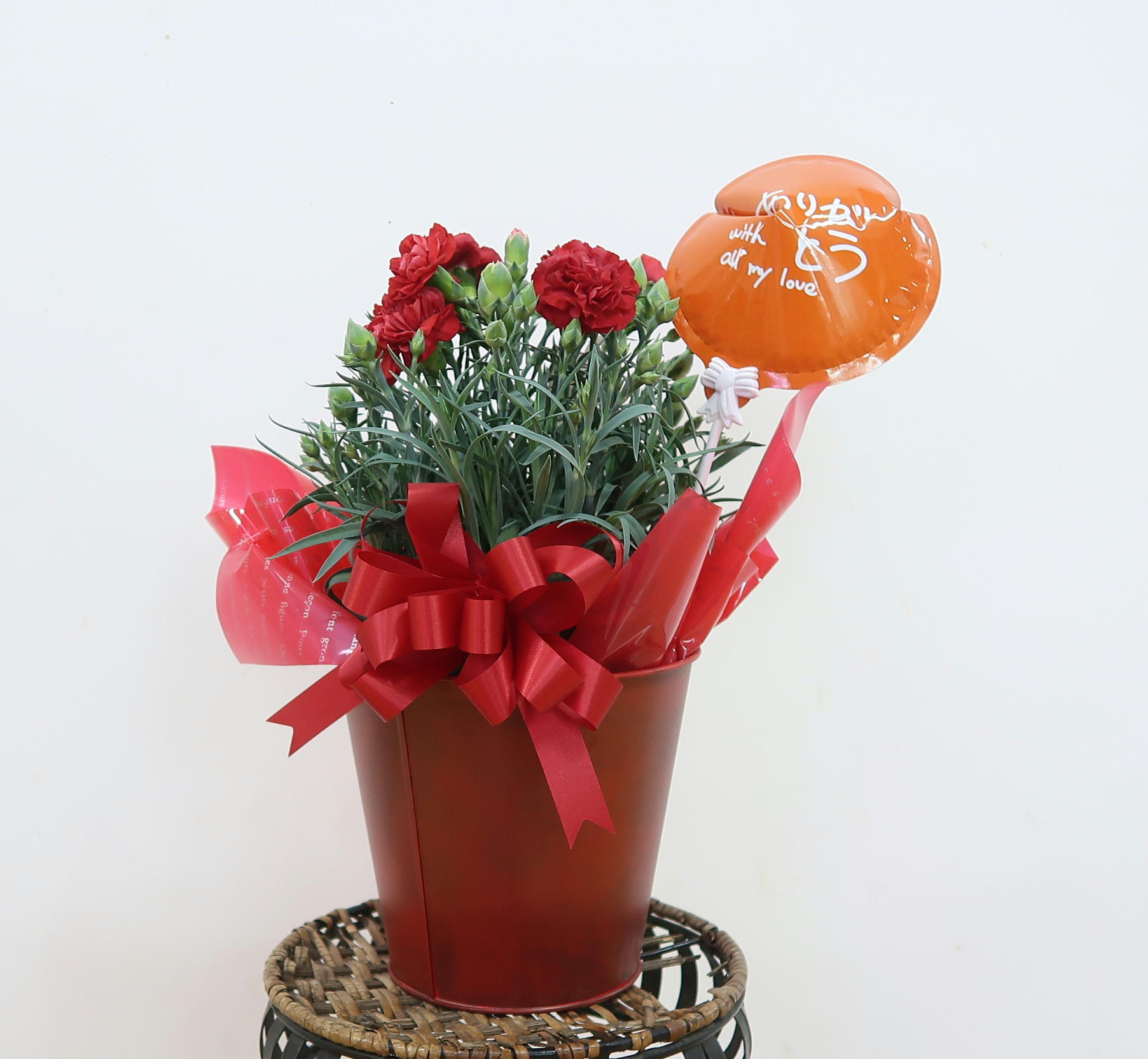 【ロマンス】　赤カーネーションの鉢物画像