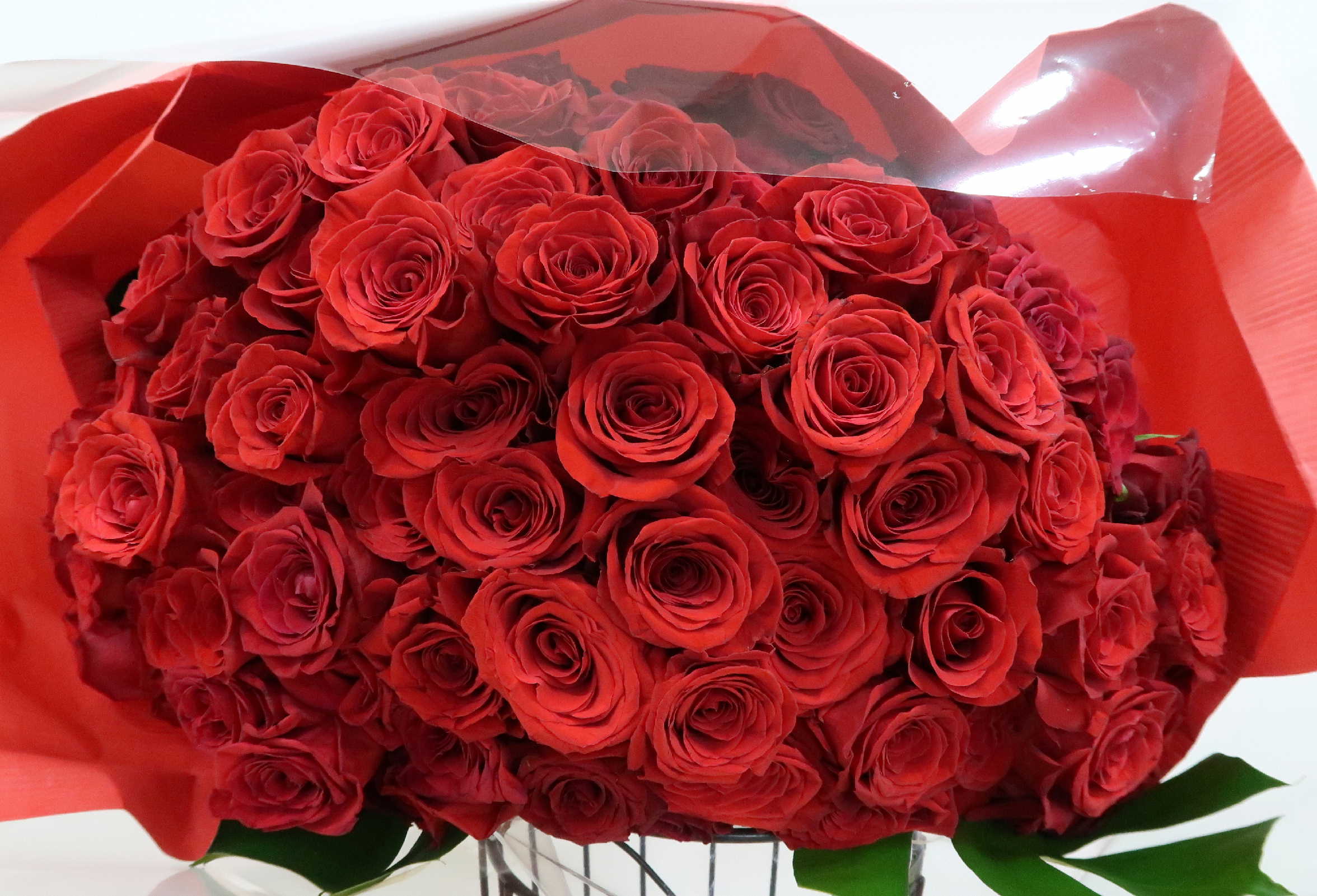 【イグニス】　特級・大輪赤いバラ１０８本の花束画像