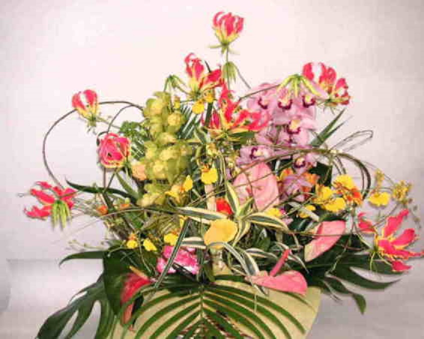 【華の舞リリース】グロリオサと蘭のアレンジメント画像