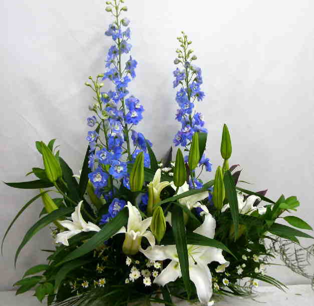 　【レクイエム聖花】　ユリとデルフィニュームのアレンジメントの画像
