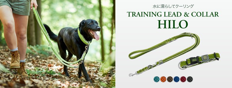 Hunter キラキラスワロフスキー付き 首輪 リード ハーネスセット 犬