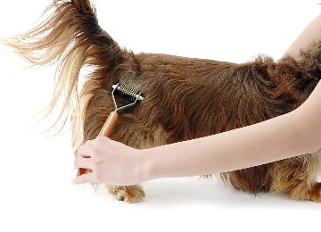 アルコソ　コートキング大型犬用 コートキング｜HUNTER LIFE|ハンターライフ