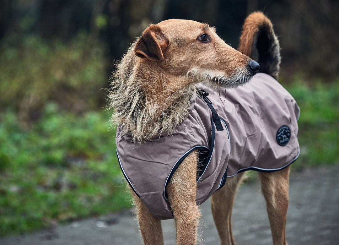 ハンター ドッグ コート ウプサラ taupe