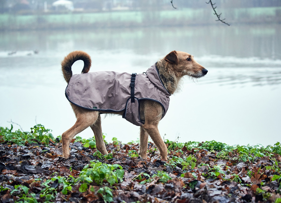 ハンター ドッグ コート ウプサラ black