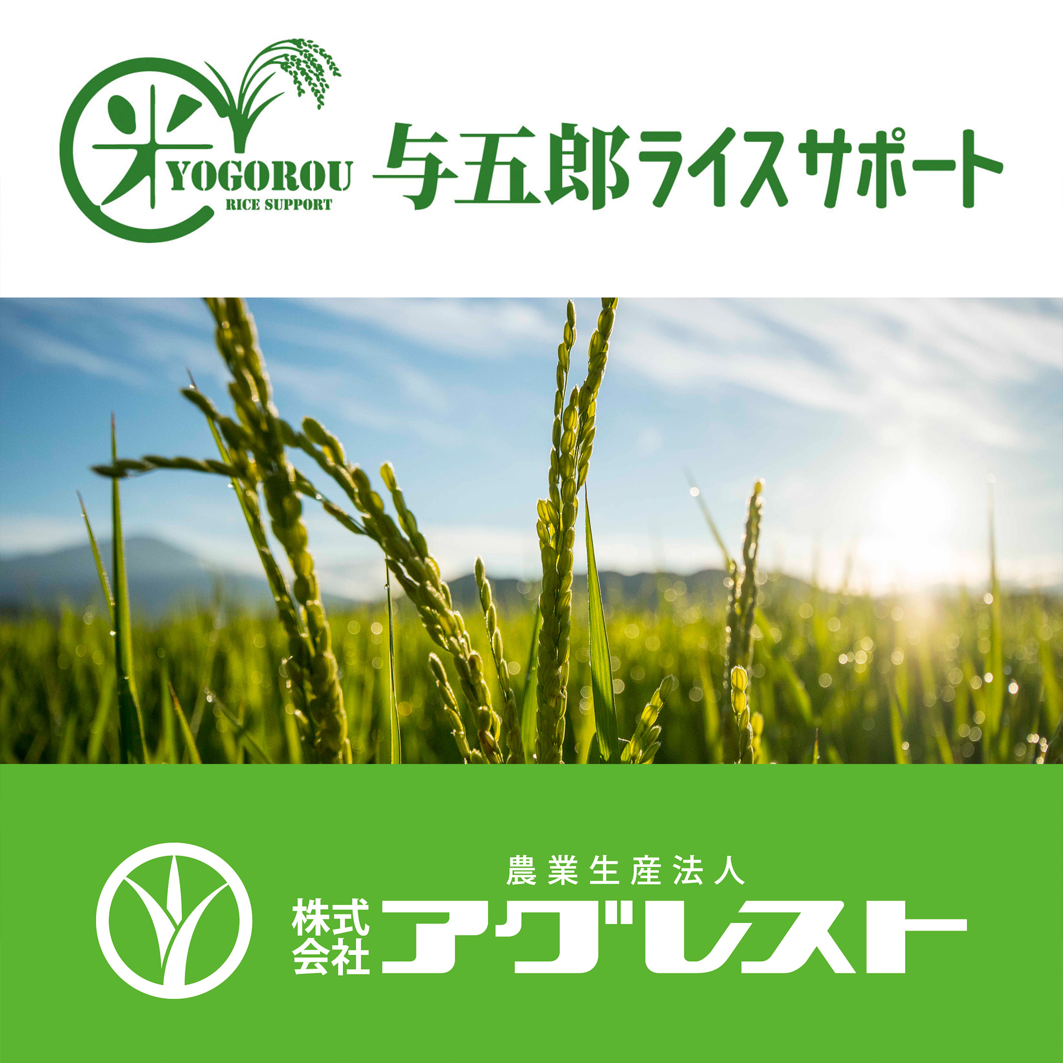 与五郎ライスサポート