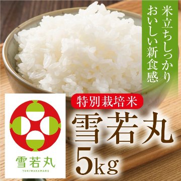 特栽　雪若丸　5㎏の画像