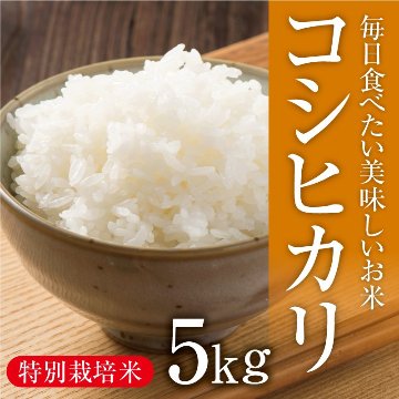 特栽　コシヒカリ　5㎏画像