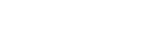 玉綱本焼き 柳刃庖丁（300mm）特上業物 ｜観賞用にもご推奨