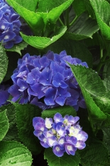   6月