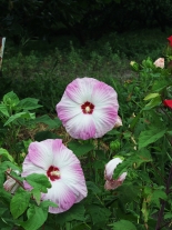   9月